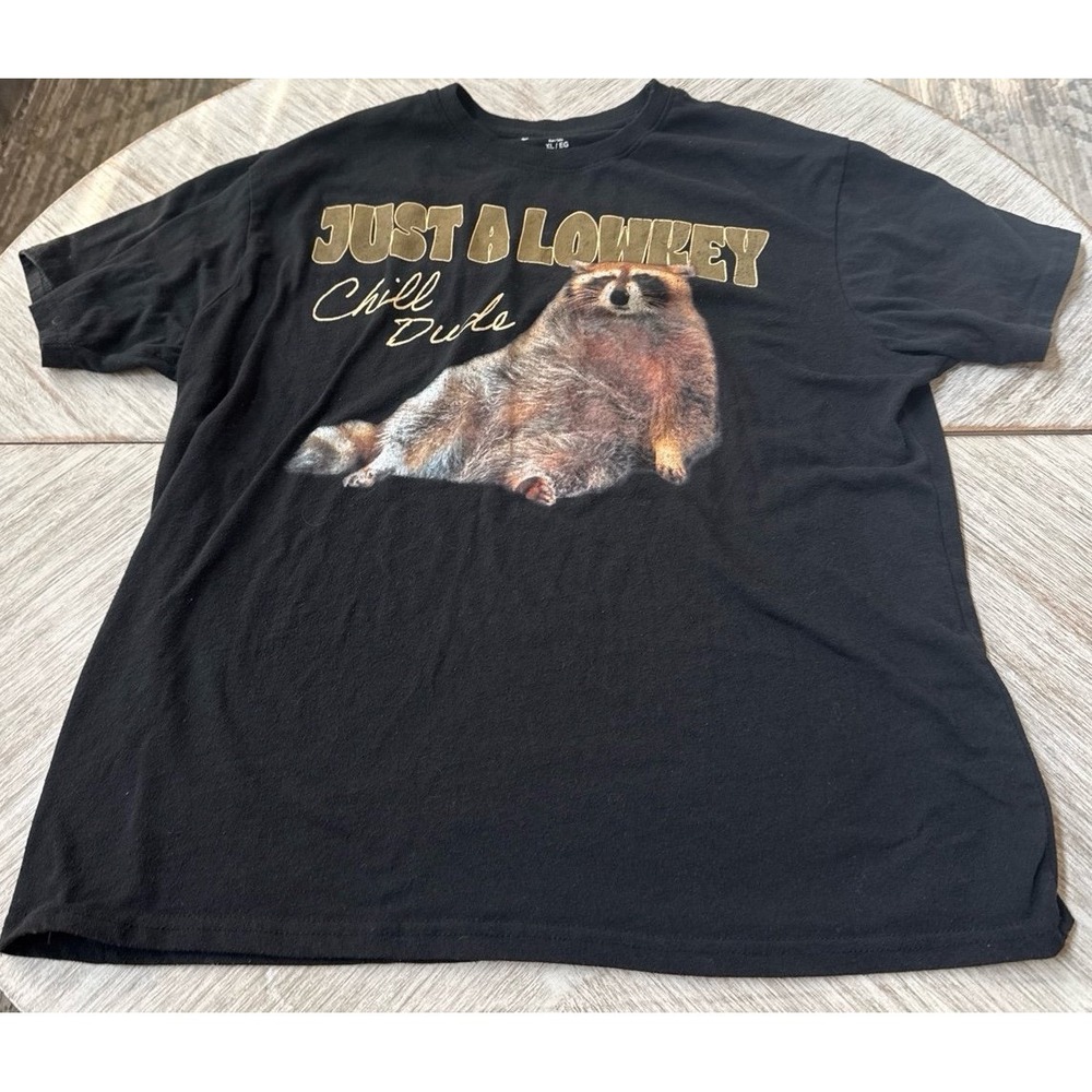 Chemistry Just a Lowkey Chill Dude Raccoon Graphic Tee XL t-shirt